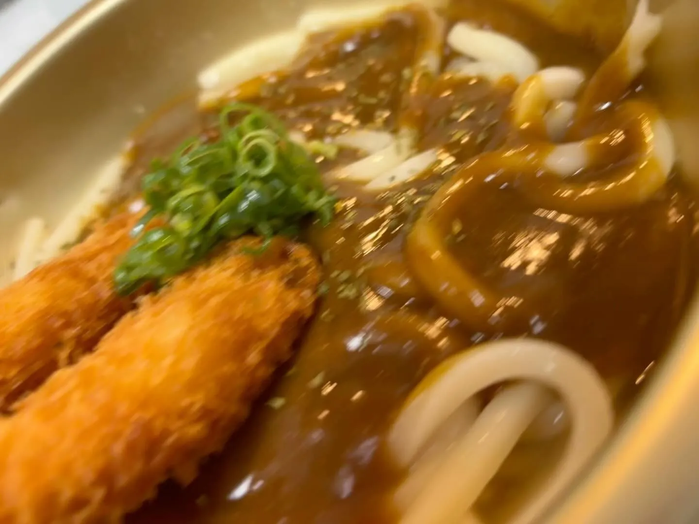 うどんも🆗🍛